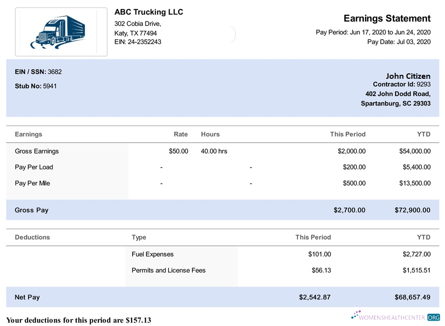 Download USA South Carolina TRUCKING LLC paystub in Word and PDF formats Photoshop template